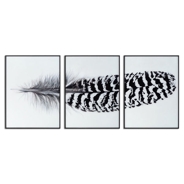 Black Striped Feather Over 3 Black Glass Frames-TrendGoat