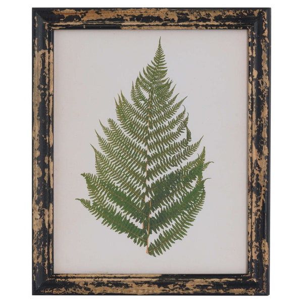 Rustic Framed Botanical Fern Picture-TrendGoat