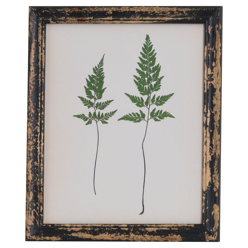 Rustic Framed Botanical Pair Of Ferns Picture-TrendGoat