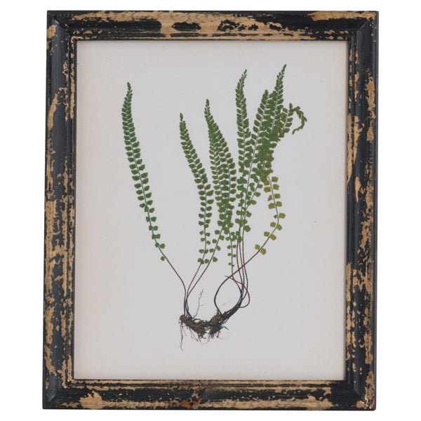 Rustic Framed Botanical Picture-TrendGoat