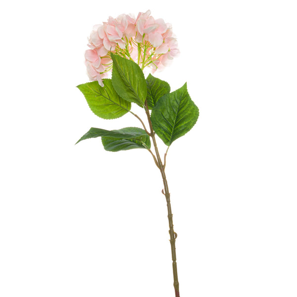 Single Pink Hydrangea-TrendGoat