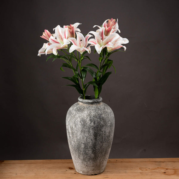 Stargazer Lily-TrendGoat