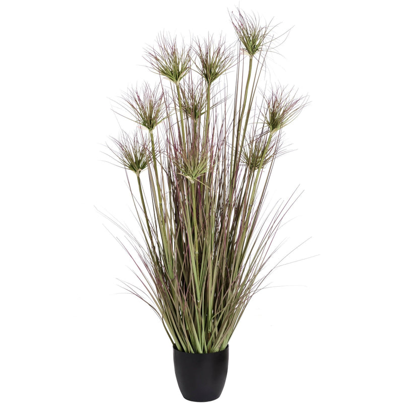 Water Bamboo Grass 48 Inch-TrendGoat