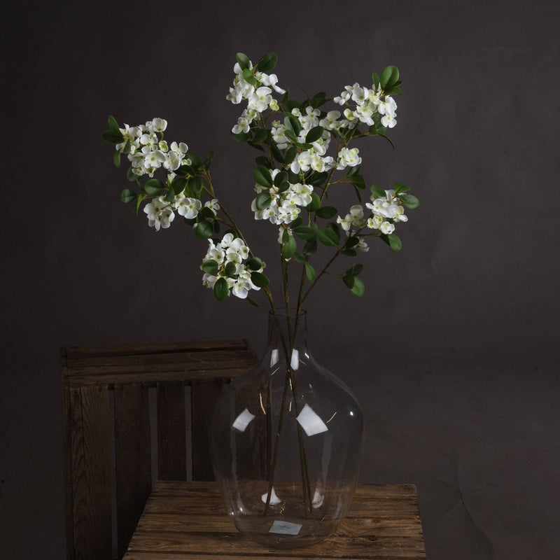 White Spring Mock Orange Flower-TrendGoat